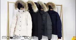 Mens Down Jackets Canadian Parka Winter Waterproof Cloth Men Wolf Fur Wyndham Jacket Hooded Fourrure Outwear Raccoon Furs Warm Coatce2f