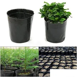 Donice garnki 100pcs Plant Phoine Garden Growary Home Sadzarka Sadzonki kwiatowe Siew Siew Dorad