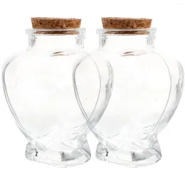 Storage Bottles 2 Pcs Wishing Bottle Drift Adornment Miniature Glass Decorative Empty Container