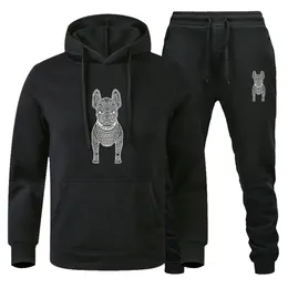 Mens Tracksuits Set Luxury Hoodie Suit Långärm Sport Hooded Sweatshirt and Pants Bulldog Print 2 PCS Set Casual Mens Designer Clothes