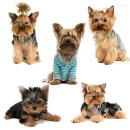 Vägg klistermärken tre ratels qd102 hd pixel söt Yorkshire terrier vattentät hund klistermärke auto wrap för bil huva bärbar dator hem dekora