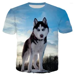 Herr t-skjortor roliga husdjur hund t-shirts husky djur 3d tryck streetwear män kvinnor mode överdimensionerad kort ärm skjorta barn tees toppar