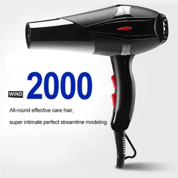 Essiccatori per capelli 11022v Strong Wind Anion Essiccatore per la casa Porone portatile Porone Styling Blow 230821