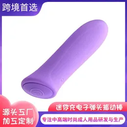 Mini wiederaufladbarer Bullet Head Wireless Jumping Egg Second Tide Shaker Damen Strong Shock Masturator Sexuell