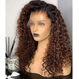 220%density Pre Plucked 360 Lace Frontal Human Hair Wigs with Natural Hairline Dark Brown Bouncy Curly 13x6 Lace Front Wigs Remy