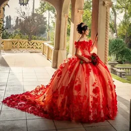 3D Çiçek Dantel Quinceanera Elbise Balo Elbisesi Omuz Korse Pageant Tatlı 15 Parti Vestidos De Dresses 2024