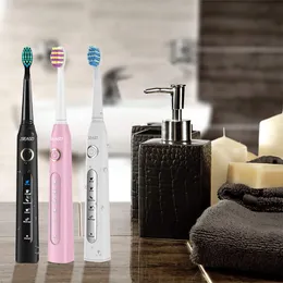 Escova de dentes Seago SG-507 Escova de dentes elétrica Sonic Wave Vibration Clean Tooth Whitening 3 cabeças de escova de substituição 5 modos USB recarregável 230824