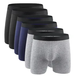 Underpants Cotton Men s Panties Underwear Boxer Shorts Long Leg Comfort Men Male Hombre Marca European Size Plus S XXL 230823