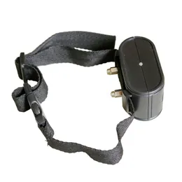 Dog Collars Leashes電子フェンスレシーバーカラー023 023B W227 W227B Inground Pet Electric Training Accessories 230823