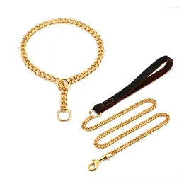 Dog Collars 10mm Gold Stainless Steel Necklace Titanium Collar Pet Supplies Chain Decorative