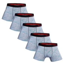 Underpants 5pcs Pack 2023 남성 팬티면 속옷 남성 브랜드 복서 및 Homme Luxury 세트 섹시한 반바지 박스 슬립 키트 체육관 Y230824