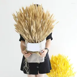 Decorative Flowers 100pcs Bunch Wheat Ears Barley Dried Flower Bouquet Grass Golden Natural Artificial Decor Supplies