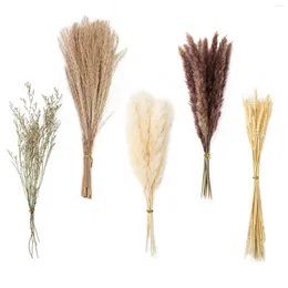 Dekorativa blommor 70st DIY Craft Flower Gunch Wedding Dust Reed Tails Artificial Pampas Grass Home Party Plant Stems Natural Torked