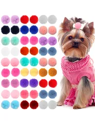 Cat Costumes 40PCS Pet Dog Hair Accessories Samll dog Puppy Bows Round Lace rubber bands Grooming products 2CM 230825