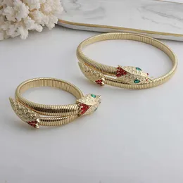 Designer halsband SL Luxury Top New Golden Snake Accessories Net Red Shape Metal Chain Armband Kvinnliga modesmycken