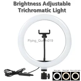 10-Zoll-Selfie-Ringlicht Fotografie Fülllicht LED-Ringlampe Ringlicht für Videoaufzeichnung Live-Übertragung Selfie-LED-Lampe HKD230828