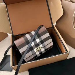 Designer Classic Letter Stripe Underarm Bag Messenger Bag Oblique Span Mini hand saddle bag Horizontal chain High quality gift box