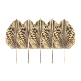 Decorative Objects Figurines 5Pcs Natural Dried Palm Leaves Tropical Dried Palm Fans Boho Dry Leaves Decor For Home Kitchen Wedding 230828