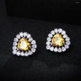 Stud Earrings 20mm Luxury Heart Shape Full Mirco Paved Micro Zirconia Women Bridal Dress Wedding Everyday Fashion Jewelry E8015