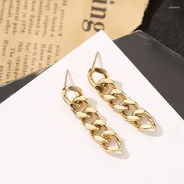 Baumeln Ohrringe MEYRROYU Edelstahl Gold Farbe Dicke Kette Tropfen 2023 Trendy Für Weibliche Mode Geschenk Partei Schmuck