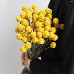 Decorative Flowers 20Pcs Dry Balls Billy Yelly For Wedding Bouquet Decoration DIY Christmas Wreath Natural Material Mariage Decor