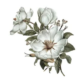 Väggklistermärken tre ratels qc115 blommor vägg klistermärke klassisk magnolia för heminredning konst sovrum 230829