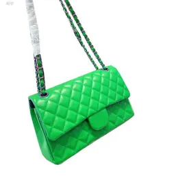 22p Womens Classic Medium Double Flap Bags Lambskin Quilted Colorful Metal Hardware Chain Crossbody Shoulder Handbag Multi Pochette Early Fall Designer Purse 25cm