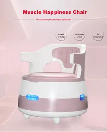 Fabriksdirekt Hi-EMT-stimulator bäcken golvmuskel reparerad lycklig stol urininkontinensbehandling ems skulptur em-ordförande vaginal åtdragning skönhetsmaskin
