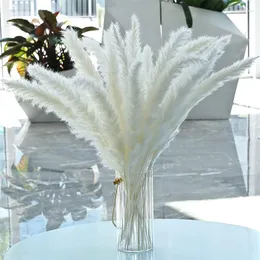 Kwiaty dekoracyjne 30pcs biały puszysty pampas trawa naturalna suszona boho boho home pokój wystrój sztuczny phragmites Dekoracja przyjęcia weselnego
