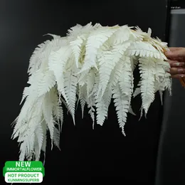 Dekoratif Çiçekler 10 PCS Doğal bitki Taze Koruma Fern Yaprakları Vines Kurutulmuş Çiçek Ev Bahçe Dekor Boho Düğün Duvar Asma