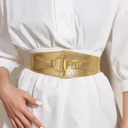 Bälten Sishion Fashion Wide Belt för kvinnor VD4207 Gold Golden Elastic Corset midje Autumn Winter