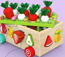 Barn Utbildningsleksak för barn Farm Orchard Car Shape Wood Building Block Matching Catching Insects Dra Radeishes Demontering och montering