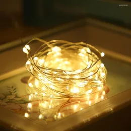 سلاسل 1/2/3M Fairy Lights Copper Wire USB LED String Christmas Garland غرفة نوم داخلية غرفة الزفاف