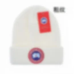 디자이너 모자 남성용 남성 남성 남성 겨울 모자 원사 염색 된 수 놓은 캐스 퀴트면 카펠로 패션 스트리트 모자 편지