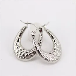 Hoop Earrings 2023 Stainless Steel Dainty For Women 9.2g Classic Year Gift Small Ear Holes LH1098