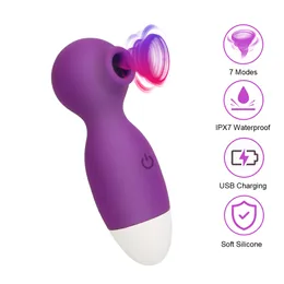 Slips Höschen 7 Modi Etotic Sex Toys Sex Toys for Women Clitoris Stimulator Nippel Saugen USB -Ladung Klitorissecker Vibrator