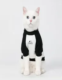 بدلة للملابس Cat sphynx الصغيرة الكلب sphinx سحب صب القطط الدردشة الأرانب tshirt بالإضافة إلى الحجم pug jersey complouse comples6712892