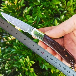H2377 Pocket Folding Blade Knife 67 Lager VG10 Damascus Steel Blade Ebony Wtih mässingshandtag Outdoor Camping EDC Folder Knives