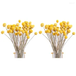 装飾的な花80pcs乾燥Craspedia Billy Button Balls Flower Bouquet for Arrangement