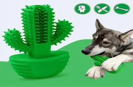 Frisk färskt tandborste för hundar doggy pet oral vårdtillbehör kaktus form hund pipig leksaksbett resistent icke -toxiskt gummi H043056945