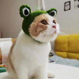 Hundkläder husdjur stickad hatt kreativ handgjorda diy groda form för katt varm andas mössa julklappar