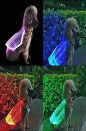 LED Glowing Cat Dog Apparel USB uppladdningsbar färgglad antilost Lysande husdjursförsörjning Hög kvalitet1337156