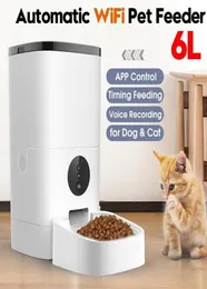 Smart WiFi Automatische Cat Feeder 6l Pet Food Dispenser Feeding Bowl Cat Dog 4 Maaltijd Voice Recorder Timer Pet Automatische feeder Y200927535817