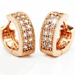 Stud Earrings The Noble And Elegant Exquisite S925 Silver Lovely Double Row Drill Heart For Women Brincos