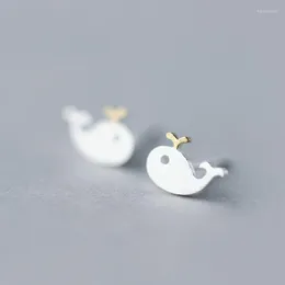 Orecchini per borchie Mloveacc 2023 925 Sterling Silver Cute Whale Piccolo animale per donne Gioielli Gioielli Fashion