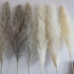 Decorative Flowers & Wreaths 140CM Natural Artificial Cultivation Pampas Grass Large Real Dried Reed Bouquet Decor For Home Weddin2142