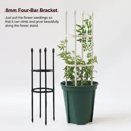 Suprimentos de jardim Other Plant Support Trellis Plantas de fivela pesada Stakes Stakes Flor Stand Four-Bar Bracket Simples valioso