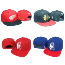 Nova chegada Tisa supere o snapback Bone Caps All Wool Hats Lk Baseball Cap Men Mulheres Hip Hop Sport Ajustável Hat246J