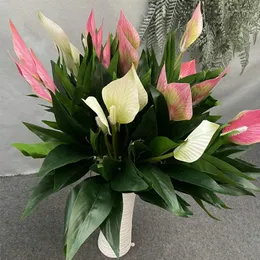 Fiori decorativi Foglia di pianta artificiale Foglie di plastica di Anthurium a 3 teste Fiore finto di simulazione verde domestico