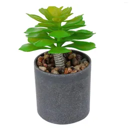 Dekorativa blommor krukut konstgjorda falska minikrukor bonsai grönska dekor bondgård realistisk grön saftig faux